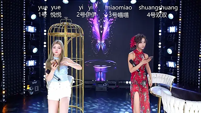 Snapshot of cdyyds001 chatting on 04/15/26, 11:17 cdyyds001 online show from 04/15/26, 11:17