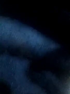 Snapshot of Anamika-singhania chatting on 11/30/25, 12:53 Anamika-singhania online show from 11/30/25, 12:53