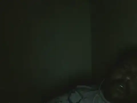 elpoop7305 online show from 03/14/26, 08:36