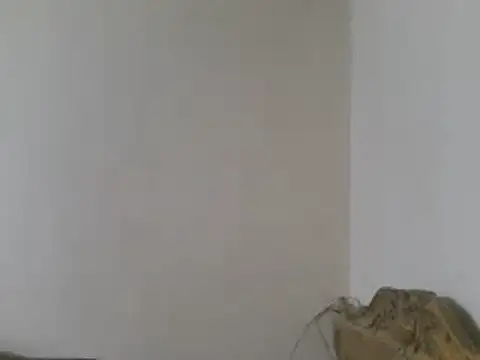 elpoop7305 online show from 03/15/26, 08:48