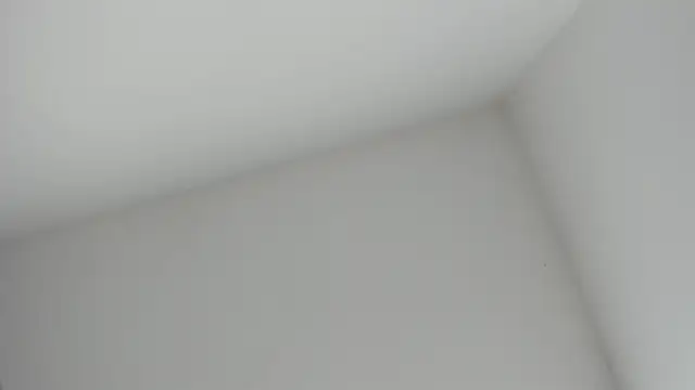 VioletRose as online show from 11/16/25, 08:36