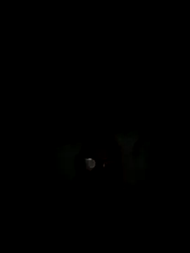 Snapshot of philefc chatting on 11/03/25, 07:42 philefc online show from 11/03/25, 07:42