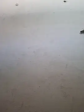 msandmr online show from 11/19/25, 04:34