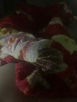 gaabpxn online show from 04/11/26, 03:44