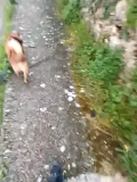 Axelitoc online show from 04/16/26, 05:08