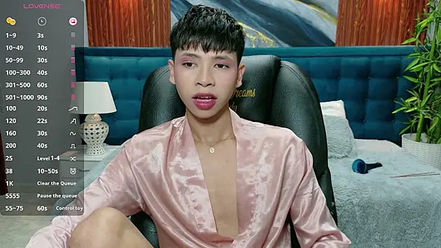 dilan 911 online show from 11/28/25, 05:48