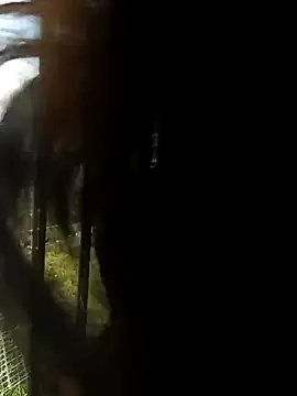 Vikyvoyeur online show from 02/18/26, 06:15