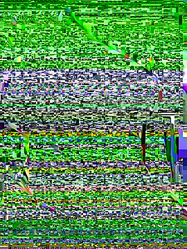 OrchidBae online show from 10/08/25, 12:25