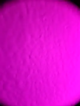 Michou02xXx online show from 02/18/26, 04:52