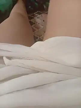 NoHA 66 online show from 11/01/25, 06:37