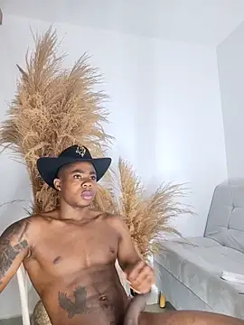 Snapshot of liambolt chatting on 10/24/25, 12:12 liambolt online show from 10/24/25, 12:12