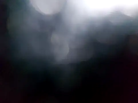 RaoufDz17cm online show from 12/17/25, 01:39