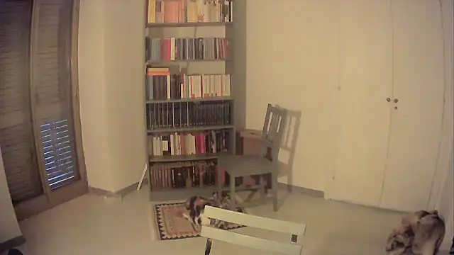 Mrkurt86 online show from 10/26/25, 04:02