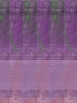 its Surya BBC online show from 12/04/25, 07:44