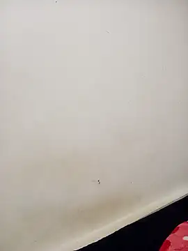 Dani 34velan online show from 10/06/25, 03:15