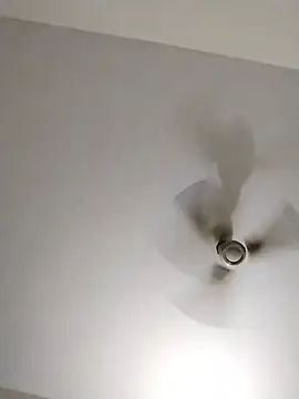 soft hearted online show from 05/20/26, 05:08