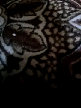 Lawrence067 online show from 02/11/26, 08:58