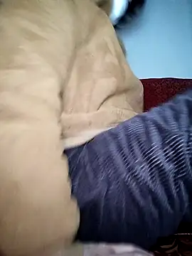 July-Asian online show from 01/06/26, 10:56