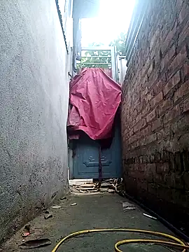 July-Asian online show from 03/23/26, 11:31