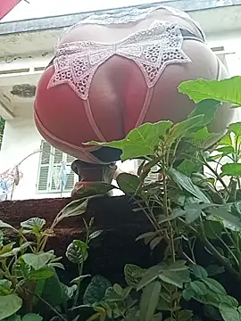 July-Asian online show from 05/24/26, 12:48
