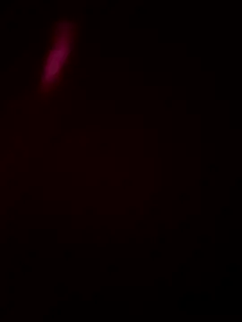 Size xxh online show from 01/16/26, 05:50