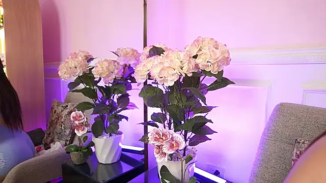 MilaCrave online show from 01/13/26, 11:37