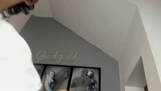 camillo virgil online show from 10/14/25, 10:49