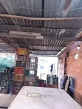 hoteder online show from 02/11/26, 12:10