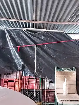 hoteder online show from 02/23/26, 02:47