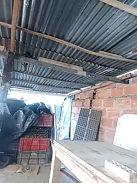 hoteder online show from 04/18/26, 01:15