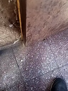 lucho2328 online show from 09/10/25, 07:14