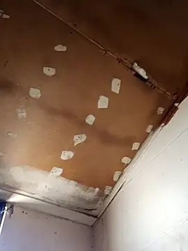 lucho2328 online show from 11/11/25, 07:47