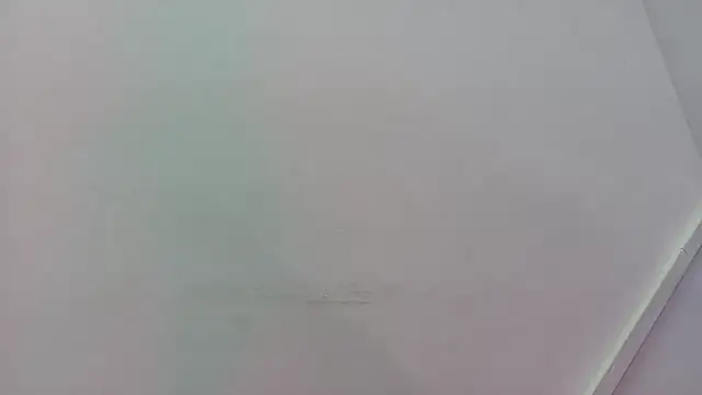 Lizbeth Rouse online show from 11/21/25, 11:31