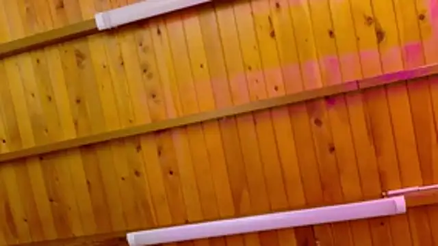 Lizbeth Rouse online show from 01/12/26, 10:20