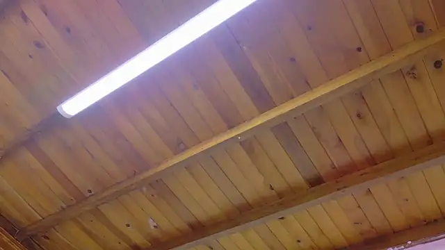 Lizbeth Rouse online show from 01/13/26, 10:42