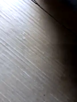 Snapshot of liza-212 chatting on 10/10/25, 09:41 liza-212 online show from 10/10/25, 09:41