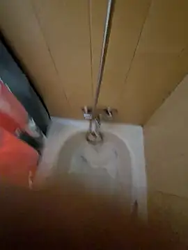 tonipit online show from 12/14/25, 08:24