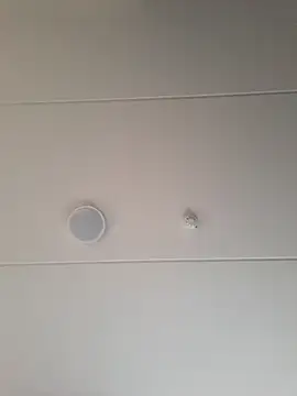 geilerd122 online show from 10/19/25, 03:56