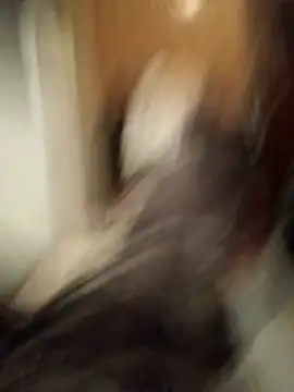 Empi19cm online show from 10/24/25, 04:42