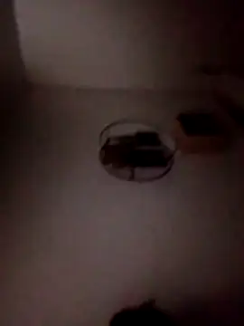 P E R V I T I N online show from 04/06/26, 01:58