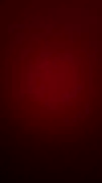 bibi perigoBr online show from 09/11/25, 03:34