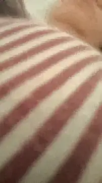 bibi perigoBr online show from 09/29/25, 03:39