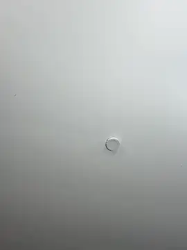 Mister Obsession online show from 11/22/25, 05:34