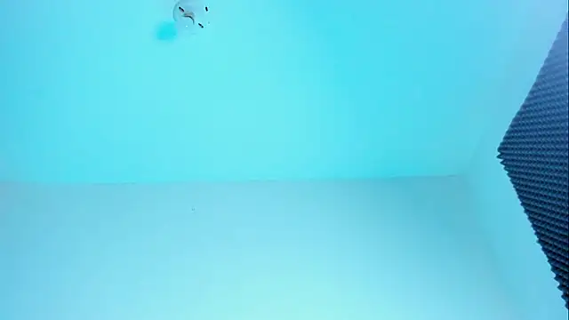 Im naho online show from 10/21/25, 11:16