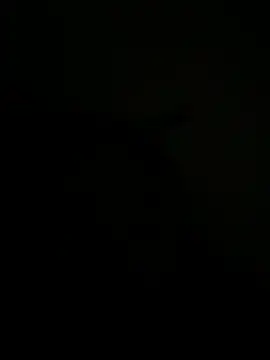 FirstTimeEvr online show from 07/07/26, 07:34