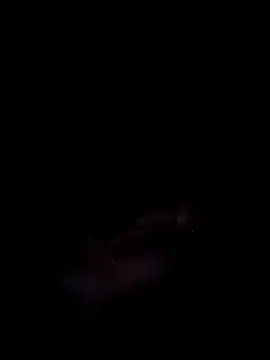 Snapshot of Harini_Gautam chatting on 09/27/25, 07:30 Harini Gautam online show from 09/27/25, 07:30