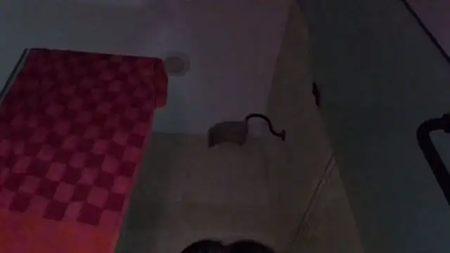 Snapshot of TallDrink11 chatting on 09/29/25, 10:25 TallDrink11 online show from 09/29/25, 10:25