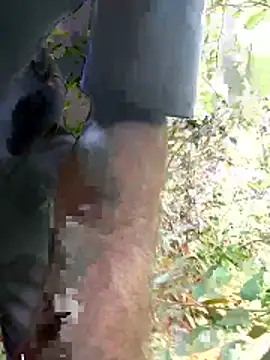 kavi1q1 online show from 01/17/26, 04:39