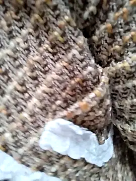 Sinejdk3 online show from 01/07/26, 12:24