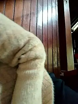 Snapshot of Sinejdk3 chatting on 01/19/26, 09:46 Sinejdk3 online show from 01/19/26, 09:46